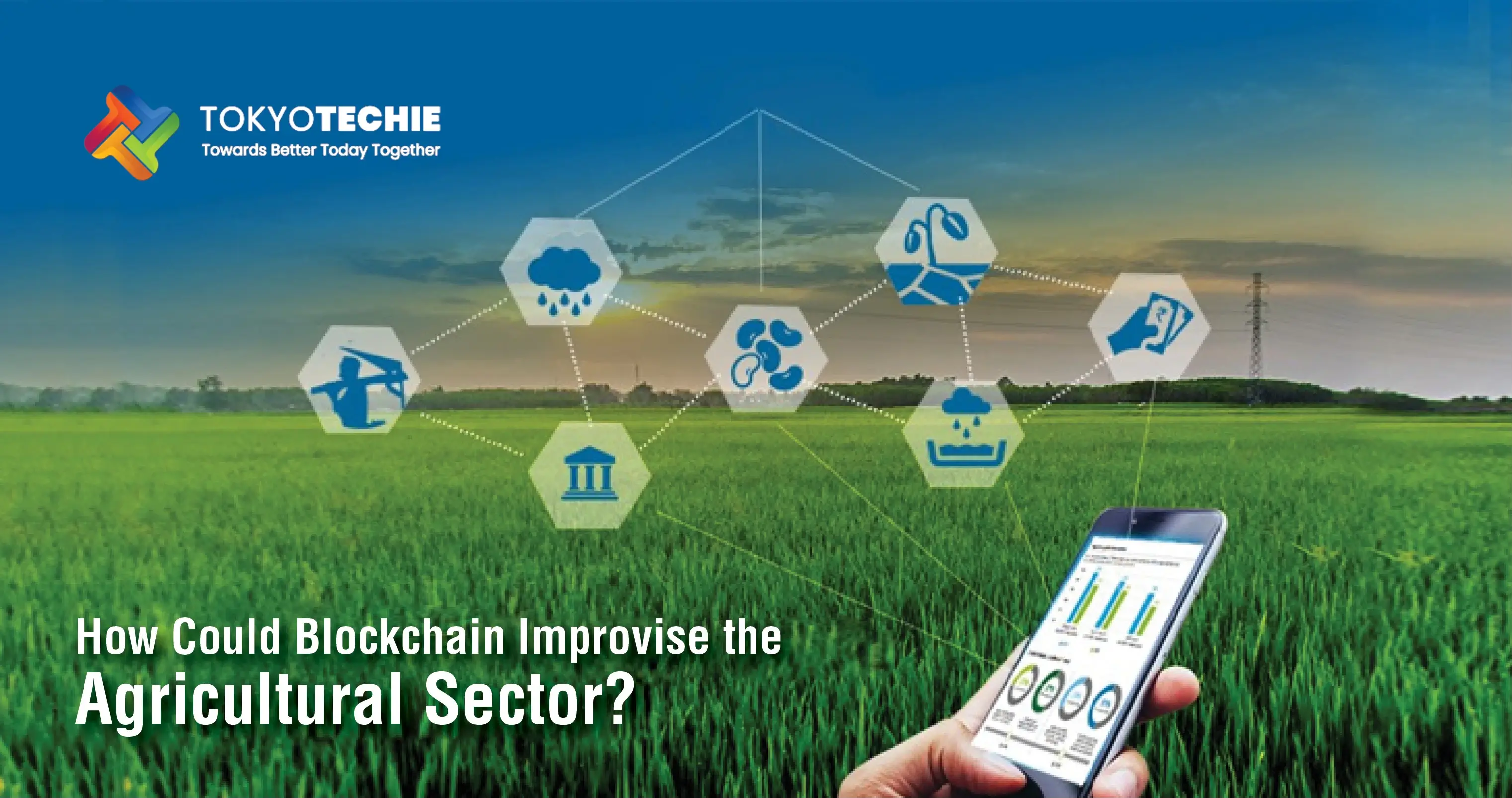 How Could Blockchain Improvise the Agricultural Sector? 